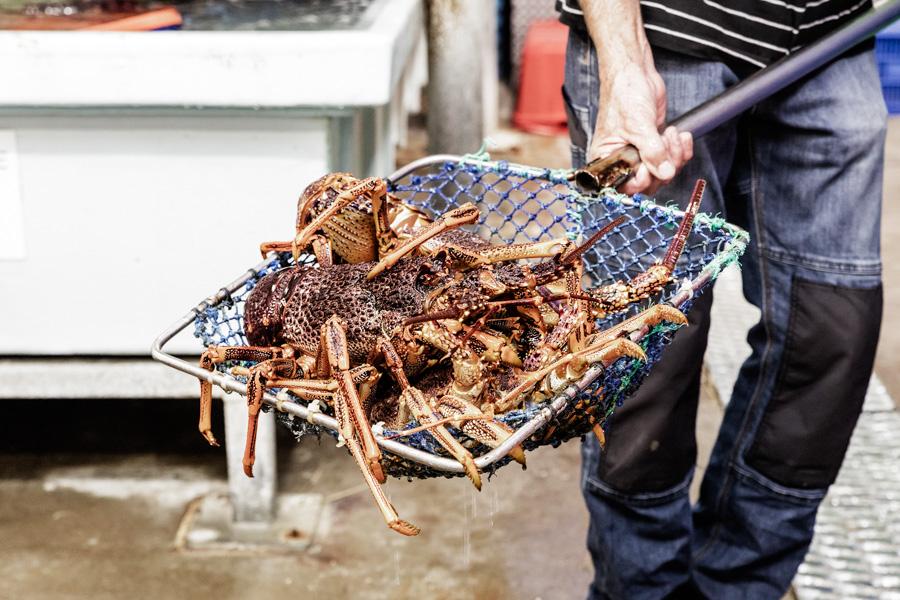 ApolloBaySeafoodFestival 2