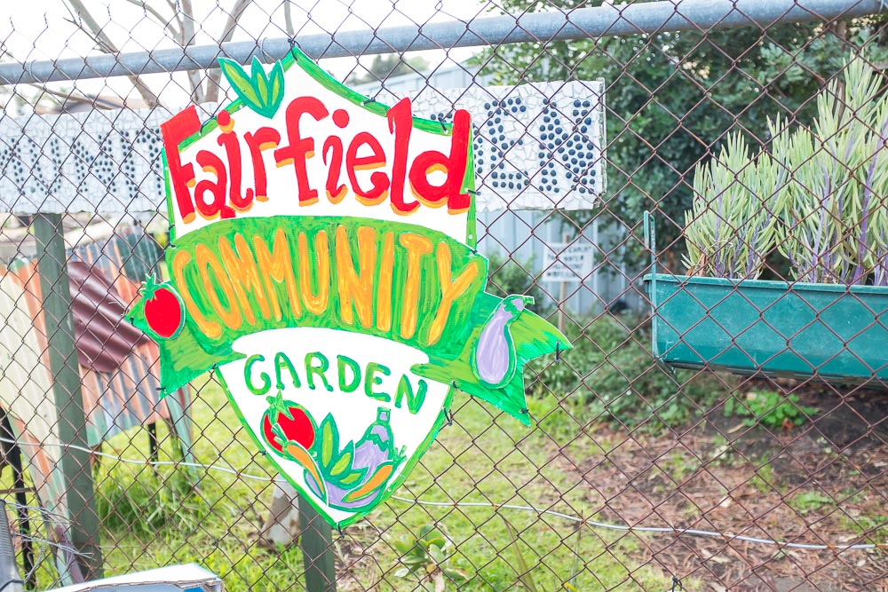 FairfieldCommunityGarden 11