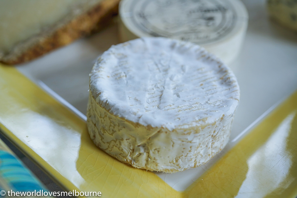 europeancheesesweb 15