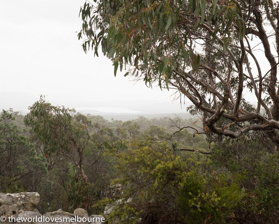 Grampians 163