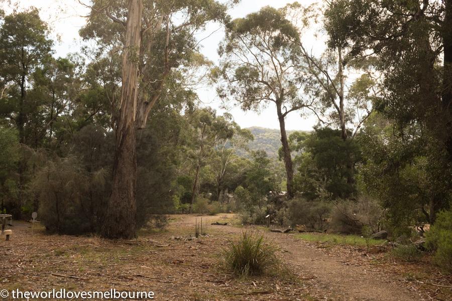 Grampians 338